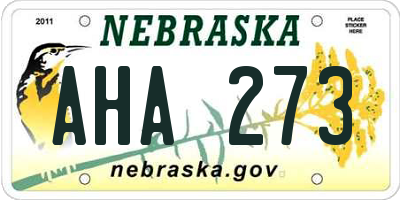 NE license plate AHA273