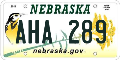 NE license plate AHA289