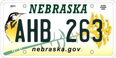 NE license plate AHB263