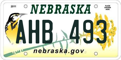 NE license plate AHB493