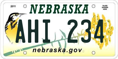 NE license plate AHI234