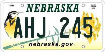 NE license plate AHJ245