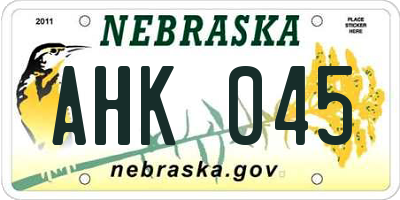 NE license plate AHK045