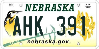 NE license plate AHK391