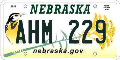 NE license plate AHM229