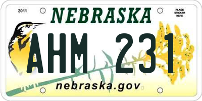 NE license plate AHM231