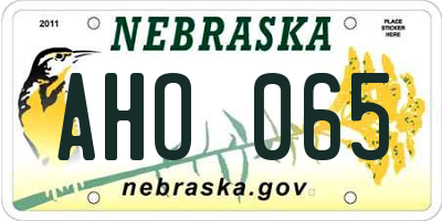 NE license plate AHO065