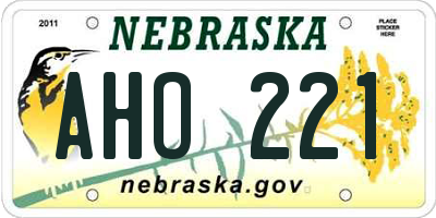 NE license plate AHO221
