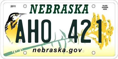 NE license plate AHO421