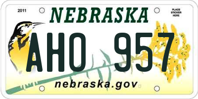 NE license plate AHO957