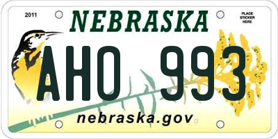 NE license plate AHO993