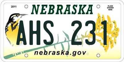 NE license plate AHS231