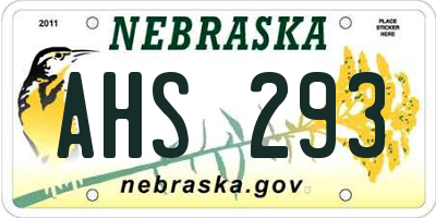 NE license plate AHS293