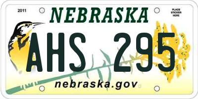 NE license plate AHS295