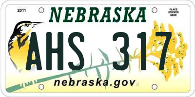 NE license plate AHS317
