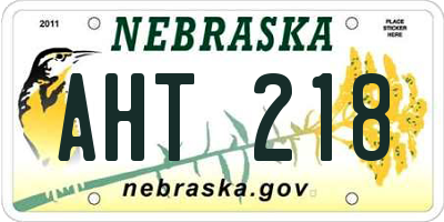 NE license plate AHT218