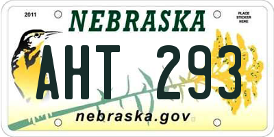 NE license plate AHT293