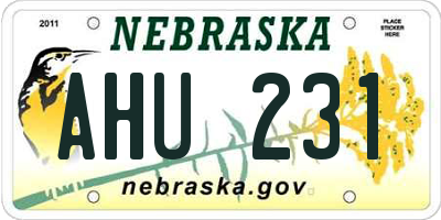 NE license plate AHU231