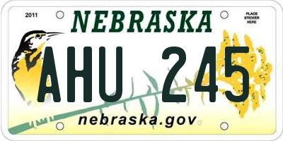 NE license plate AHU245