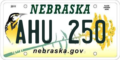 NE license plate AHU250