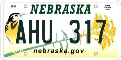 NE license plate AHU317