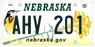 NE license plate AHV201