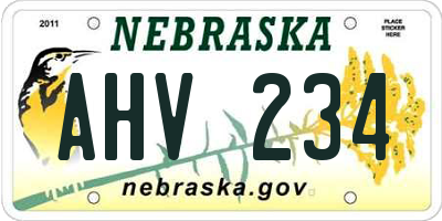NE license plate AHV234