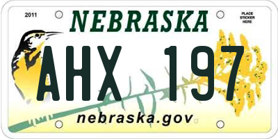 NE license plate AHX197
