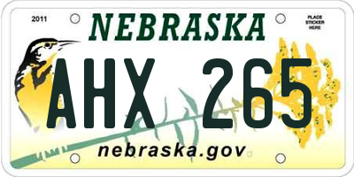 NE license plate AHX265