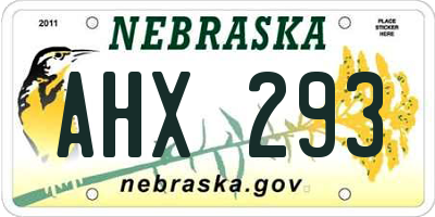 NE license plate AHX293