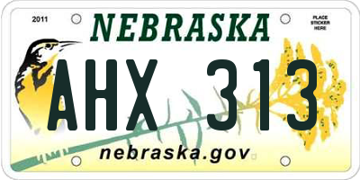 NE license plate AHX313
