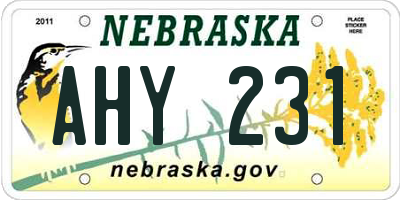 NE license plate AHY231