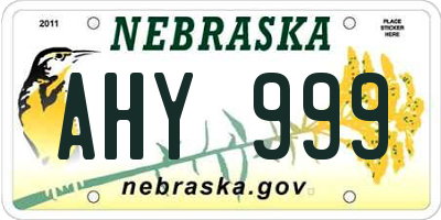 NE license plate AHY999