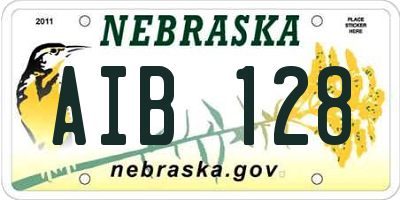 NE license plate AIB128