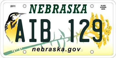 NE license plate AIB129