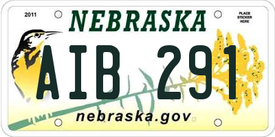 NE license plate AIB291