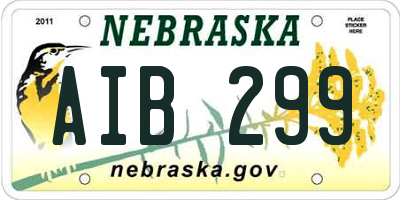 NE license plate AIB299