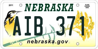 NE license plate AIB371