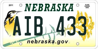 NE license plate AIB433