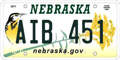 NE license plate AIB451