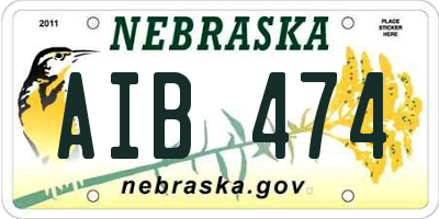 NE license plate AIB474
