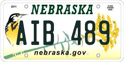 NE license plate AIB489