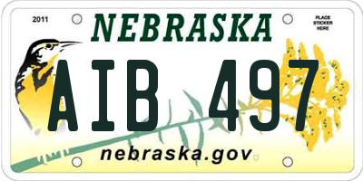 NE license plate AIB497
