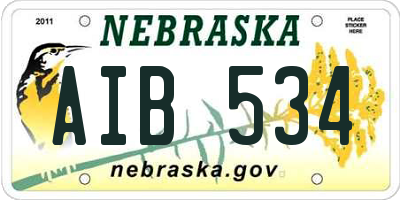 NE license plate AIB534