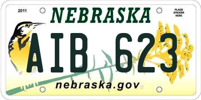 NE license plate AIB623