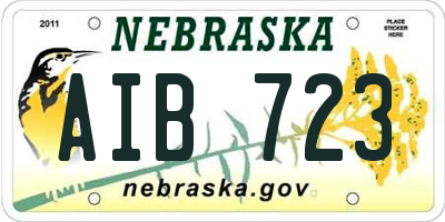 NE license plate AIB723