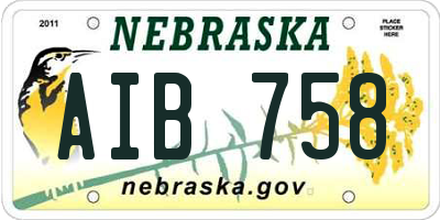 NE license plate AIB758