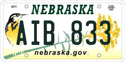 NE license plate AIB833