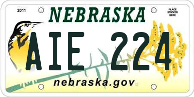 NE license plate AIE224