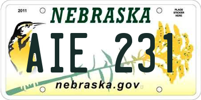 NE license plate AIE231